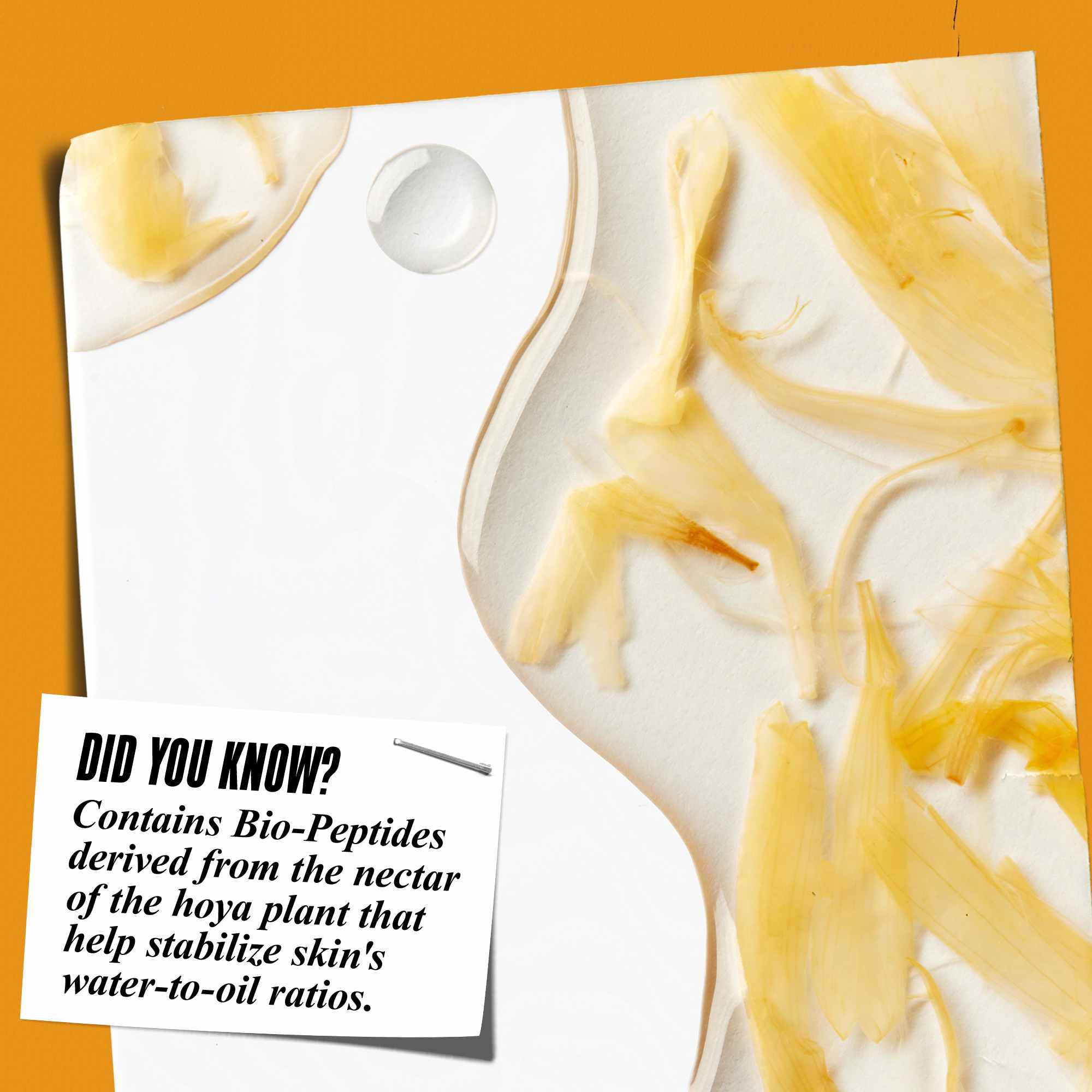 Krupni plan teksture Calendula Herbal-Extract tonera sa laticama nevena i tekstom: "Da li ste znali? Sadrži bio-peptide dobijene iz nektara biljke hoya koji pomažu u stabilizaciji odnosa vode i ulja u koži."