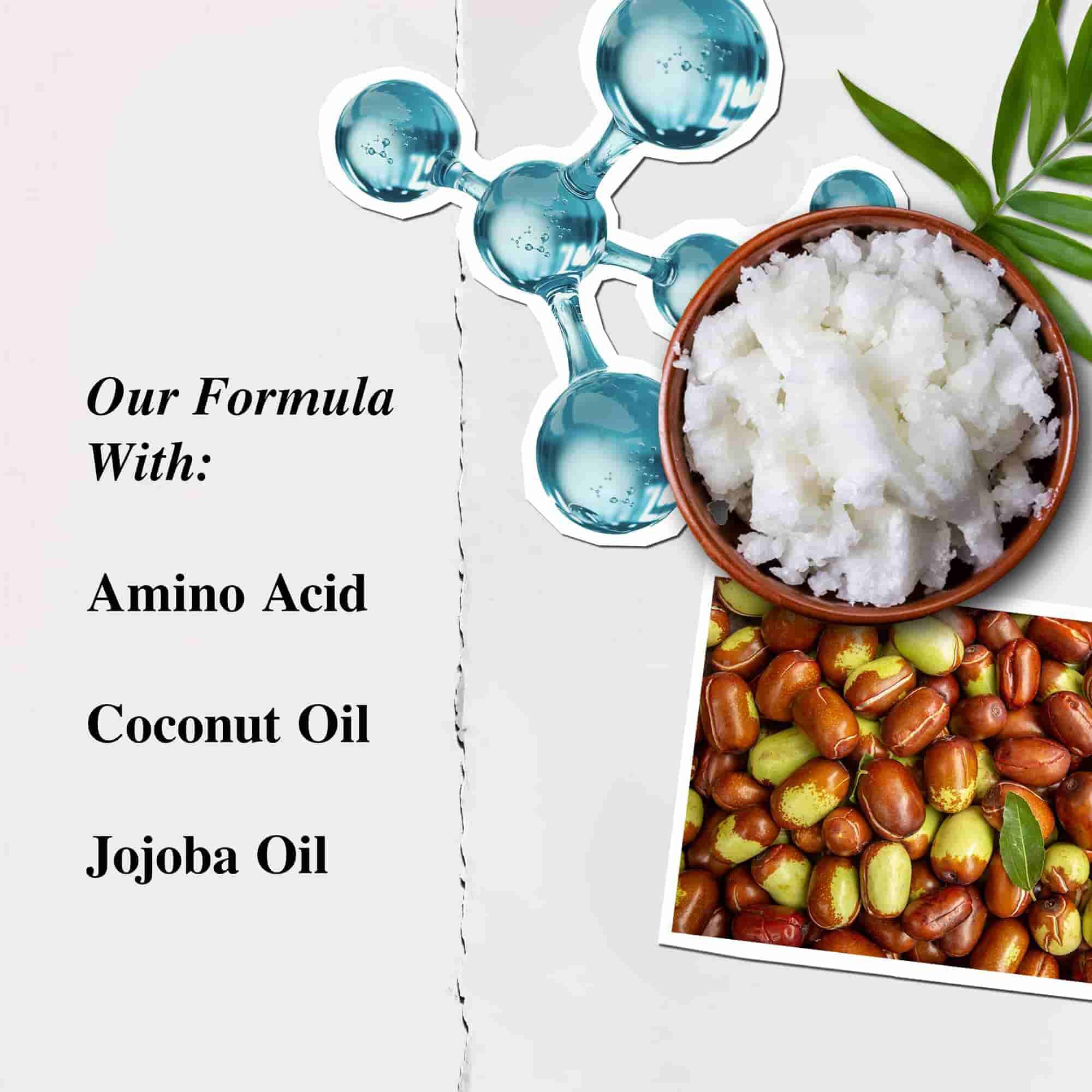 Kiehl's Amino Acid Conditioner ilustracija sastojaka - Aminokiselina, kokosovo ulje, ulje jojobe